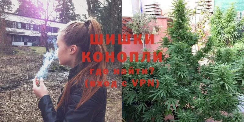 Бошки Шишки OG Kush  закладки  Магадан 